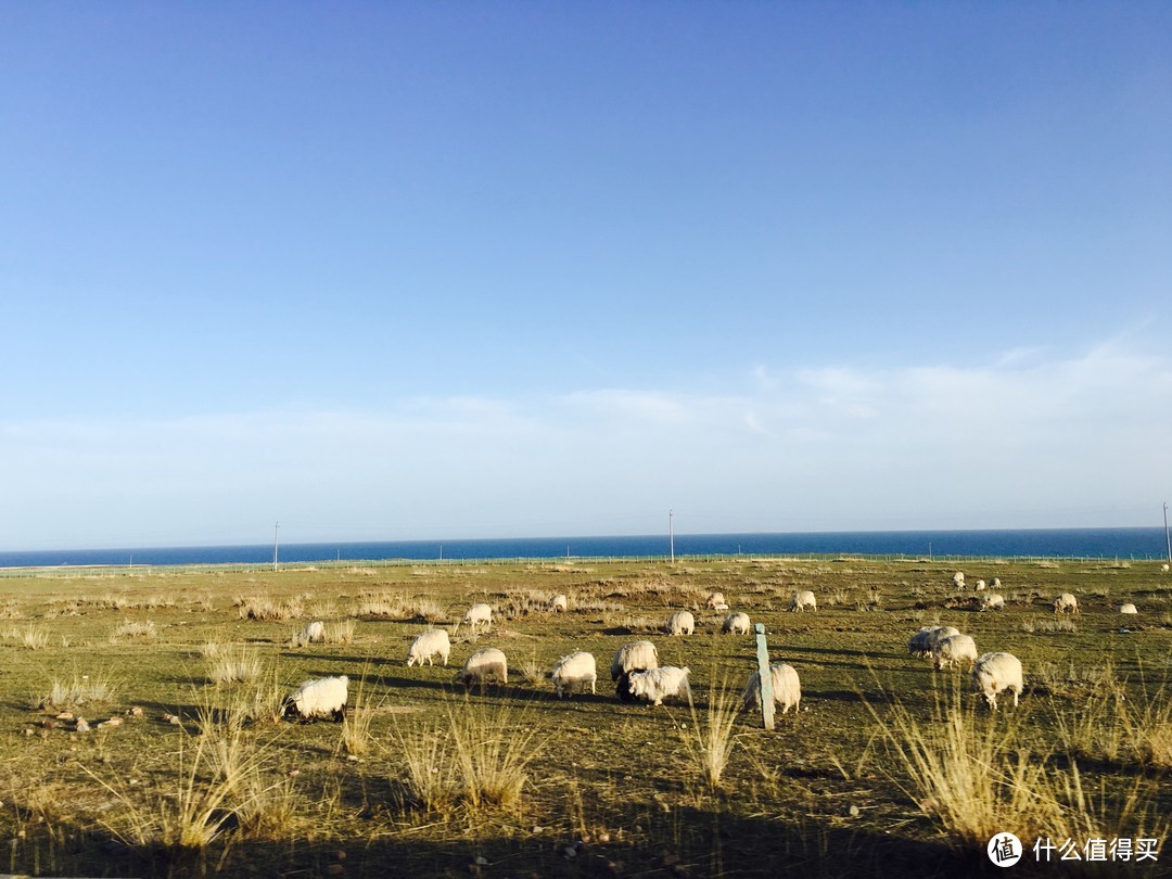 想去大草原的湖边：大西北丝绸之路半环线-7日轻松半自驾游