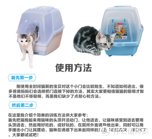 “铲屎官”新手入门指南