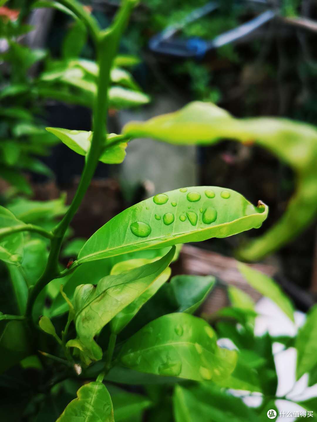 找寻航母的足迹：海岛拾遗随记