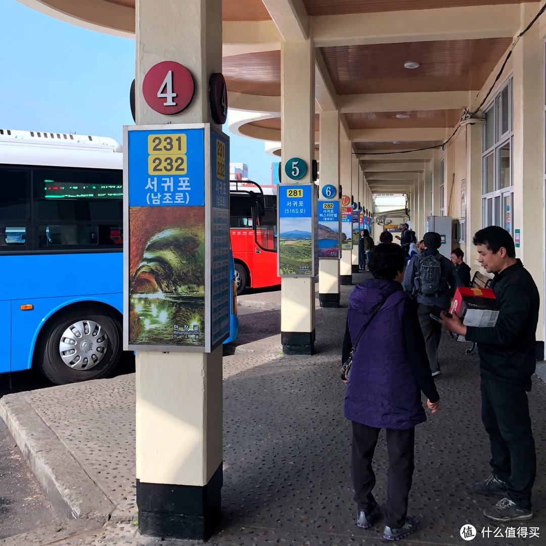 赏樱？不只有日本才可以—济州岛纯玩赏樱7日自由行