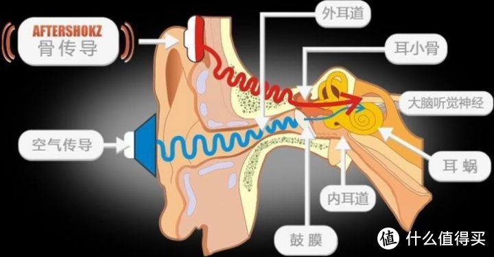 AfterShokz 韶音 TREKZ AIR 骨传导运动蓝牙耳机，运动得“刚刚好”