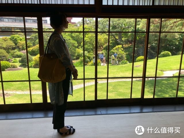 带着别人家的娃游日本！静冈、名古屋、东京、热海9日游