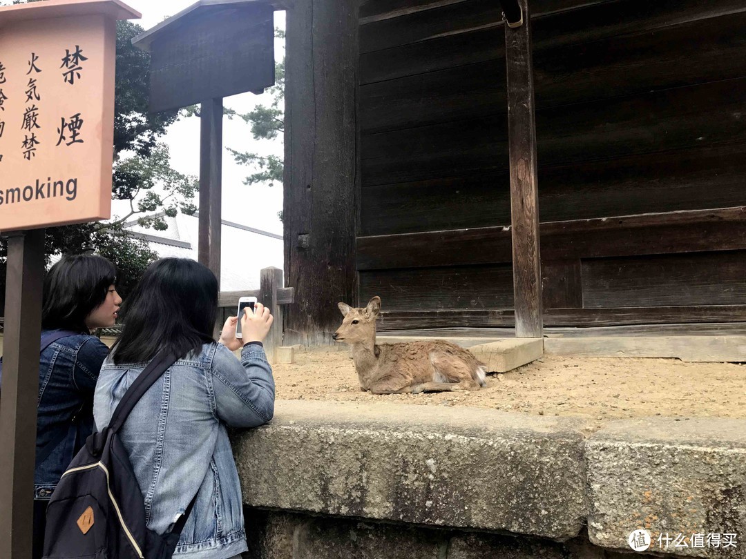 玩在樱花盛开前—3月东京关西8天游及可能有用的攻略