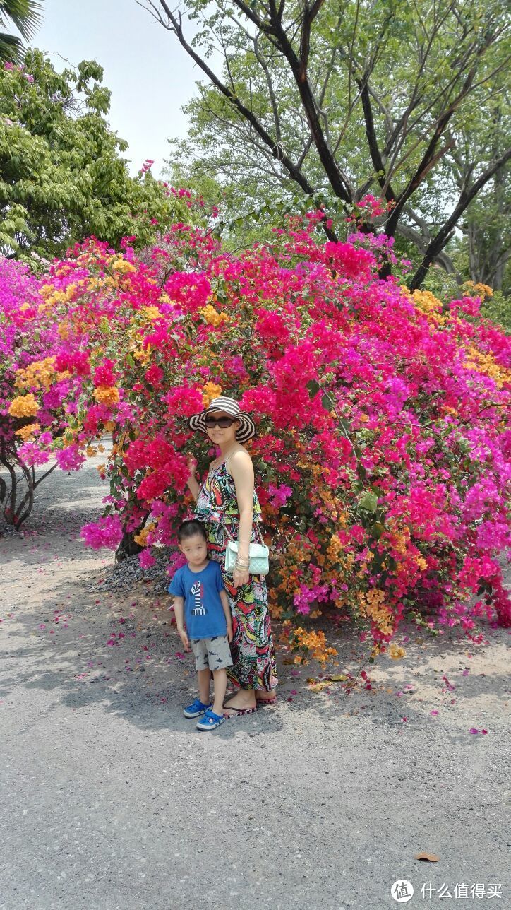 携老扶幼泰国游—曼谷+芭提雅