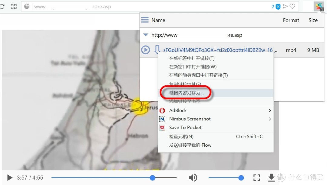 在线视频下载工具 Video Downloader Pro教程