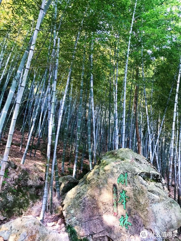 天青色等烟雨—编不出后半句的杭州+千岛湖游记