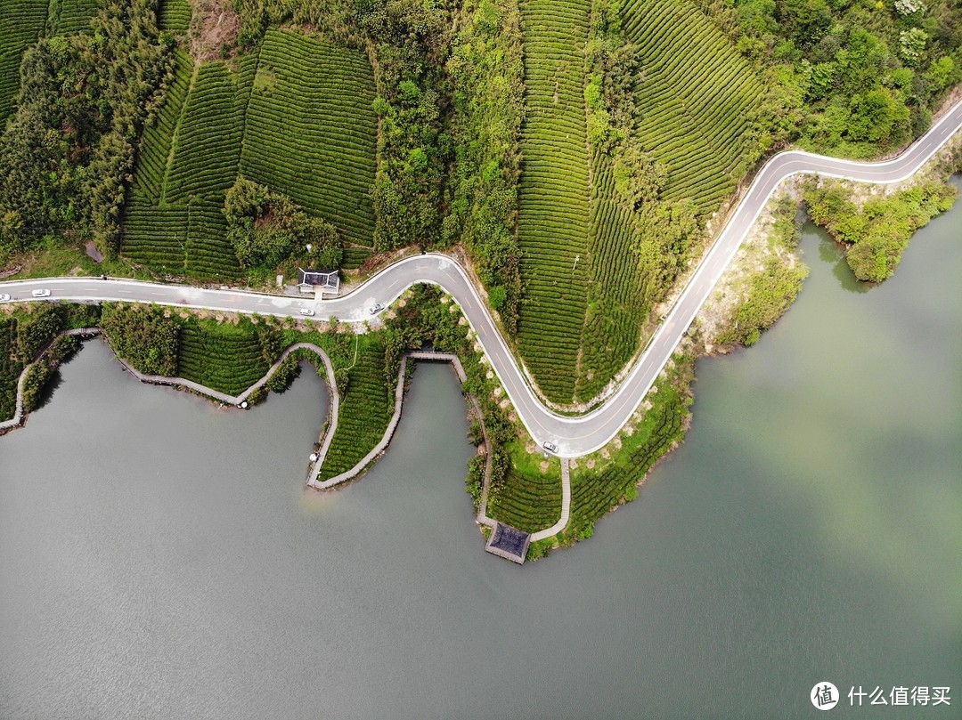 水库、茶园