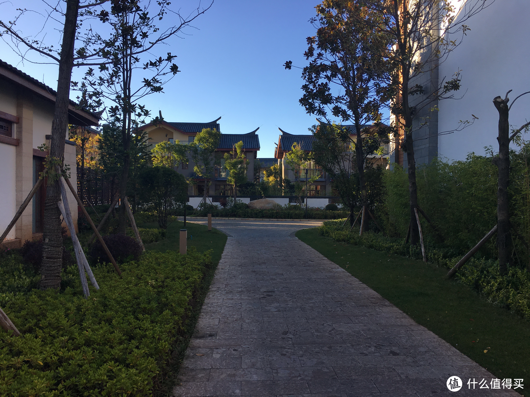 左手古城，右手雪山，坐拥世界文化遗产之所——丽江金茂君悦酒店入住体验