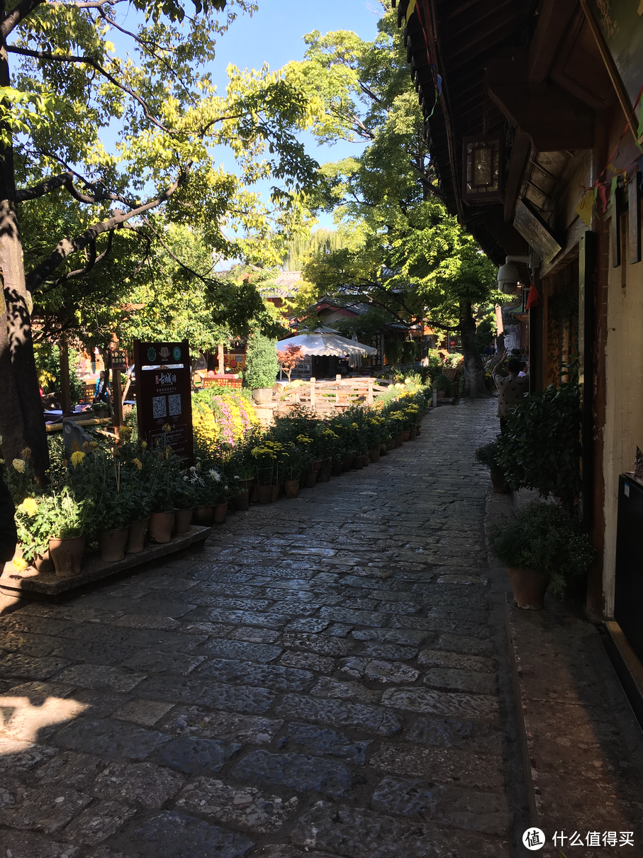 左手古城，右手雪山，坐拥世界文化遗产之所——丽江金茂君悦酒店入住体验