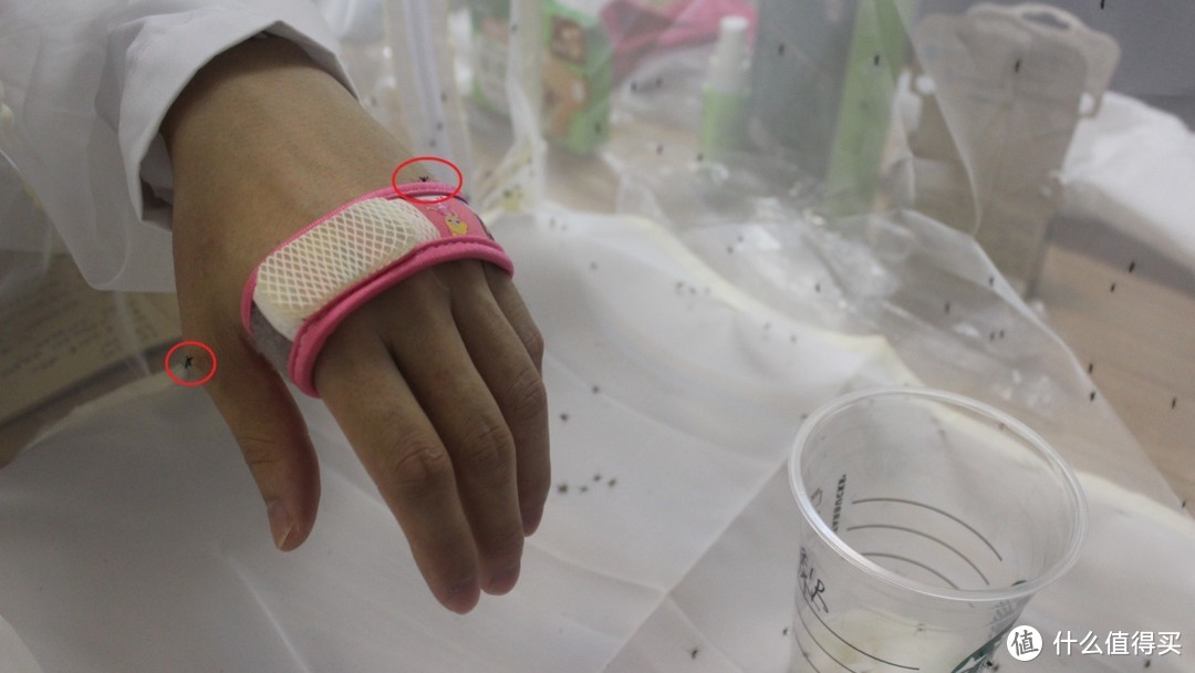 人肉测试：喂了300头蚊子后，花花扔掉了这些宝宝驱蚊产品！