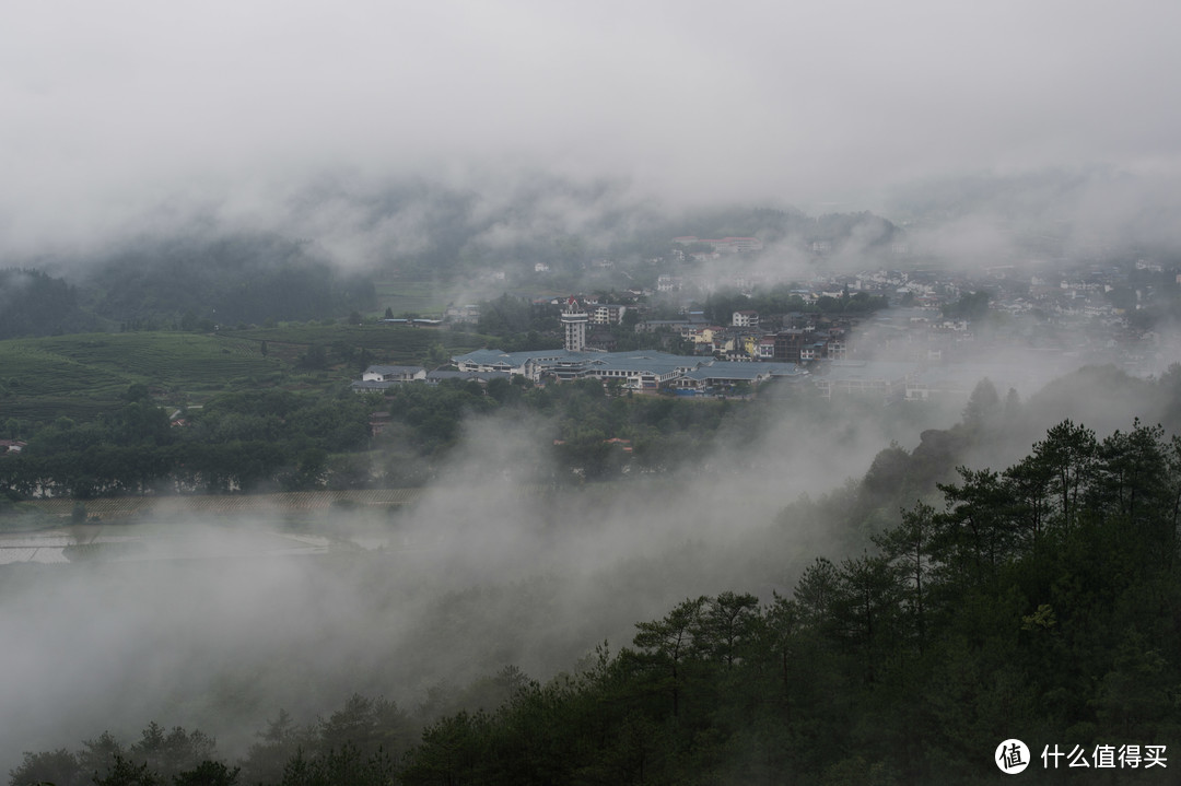 青山个个伸头看  看我庵中吃苦茶