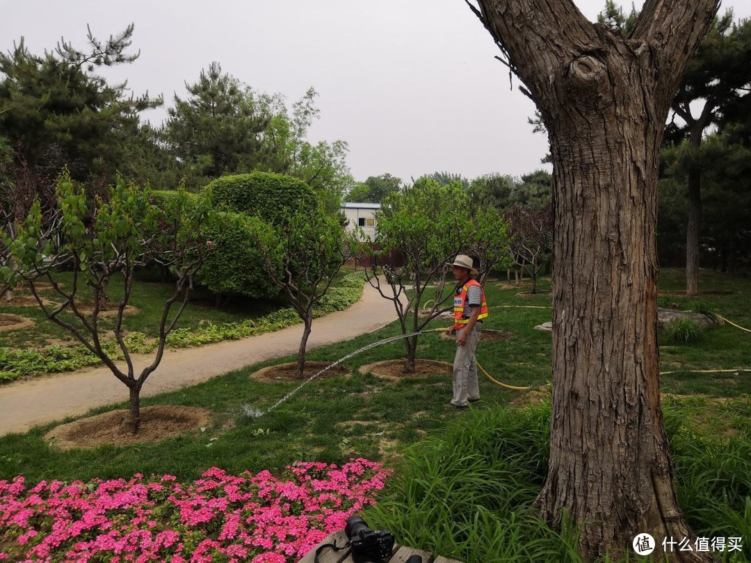 实力派还是颜值控，会变色的荣耀10评测