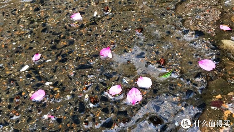 天青色等烟雨—编不出后半句的杭州+千岛湖游记