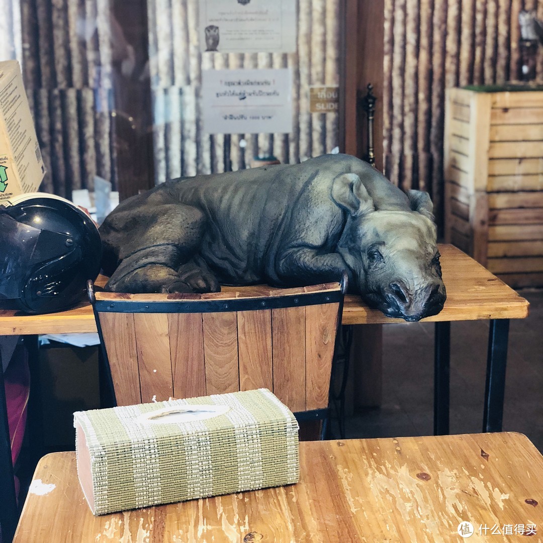 在曼谷发现了一家珍稀动物咖啡馆，还见到了那只行走的人民币