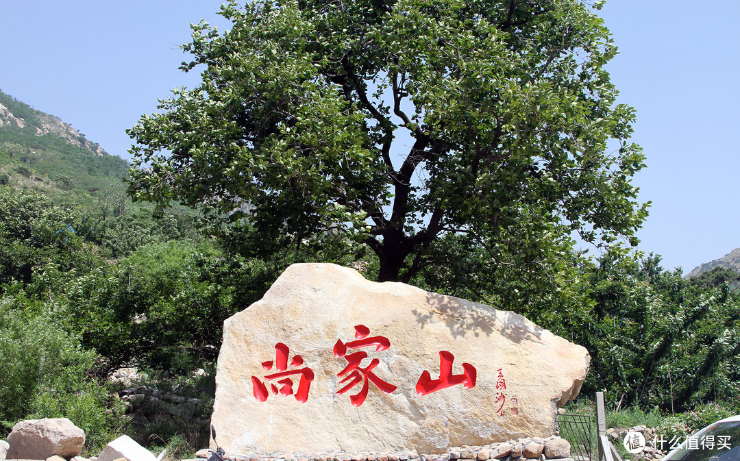 难得空闲，错峰近郊亲子游--赏月季，摘樱桃，识蜂蜜