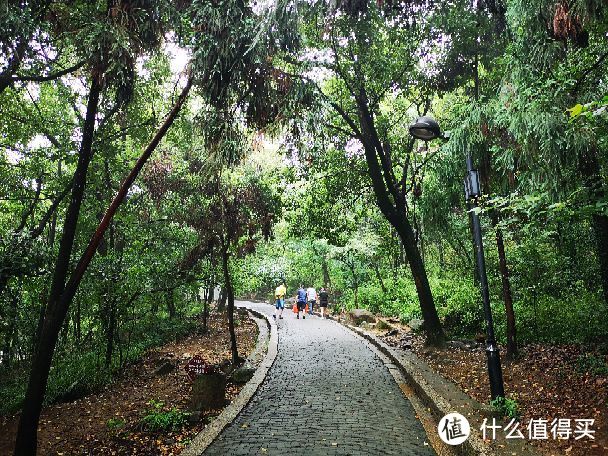 古韵灵岩山，雅致姑苏城—苏州半日游