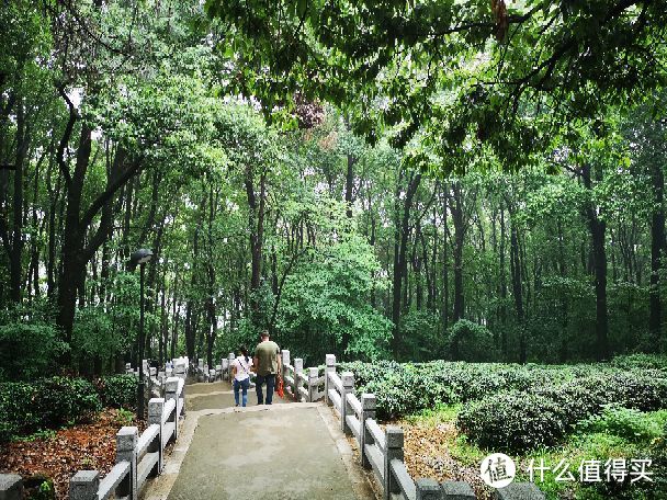 古韵灵岩山，雅致姑苏城—苏州半日游