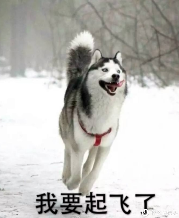 来自大妈的礼物,无线大法好-AirPods使用体验