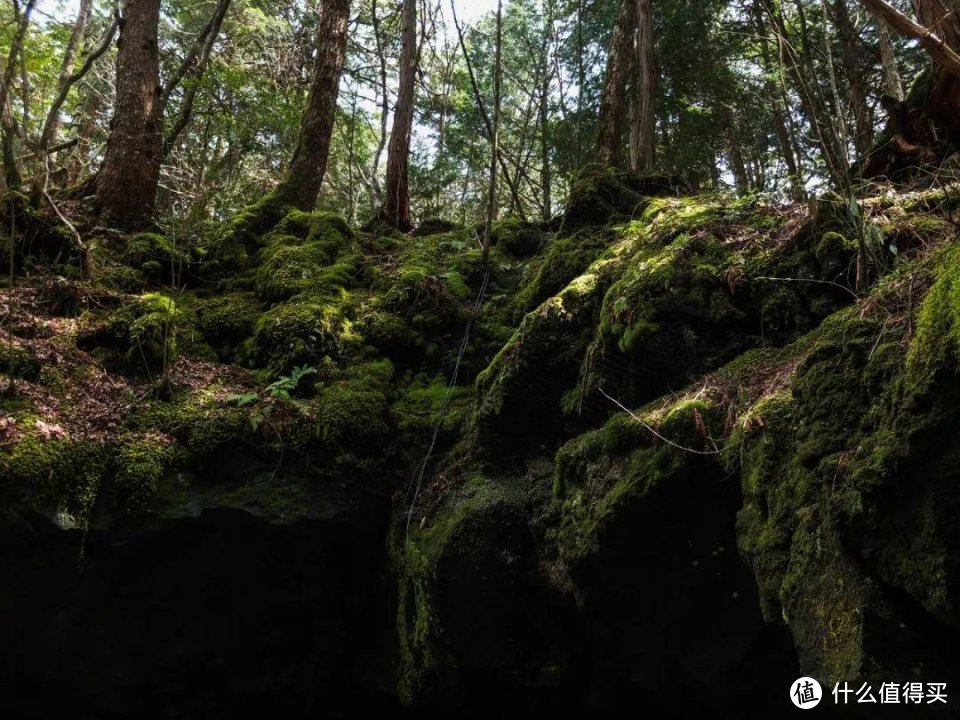 世界七大恐怖之地，除了昆池岩居然还有这些地方！