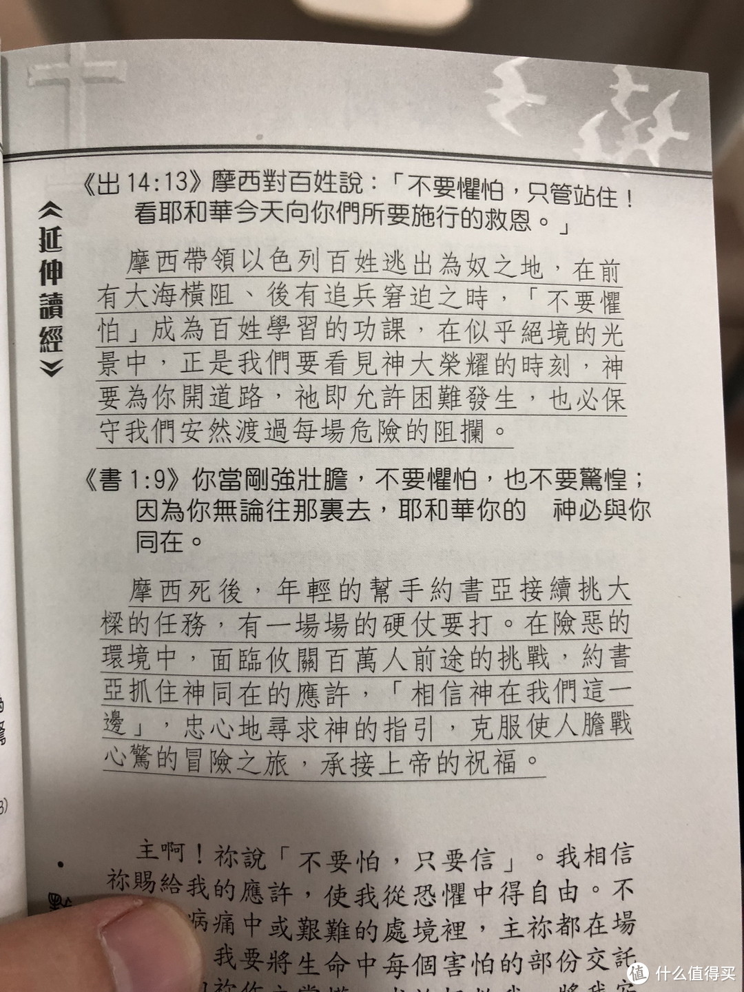 妈呀我的周日见闻！及后续工作日内容