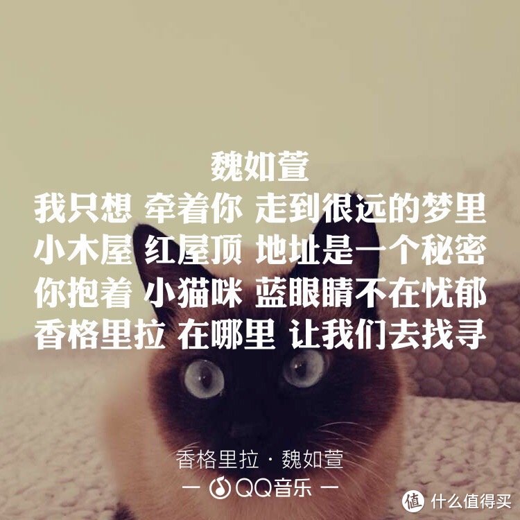 写歌的人假正经，听歌的人最无情—盘点华语乐坛才女歌手！明明可以靠脸吃饭，偏偏要靠才华