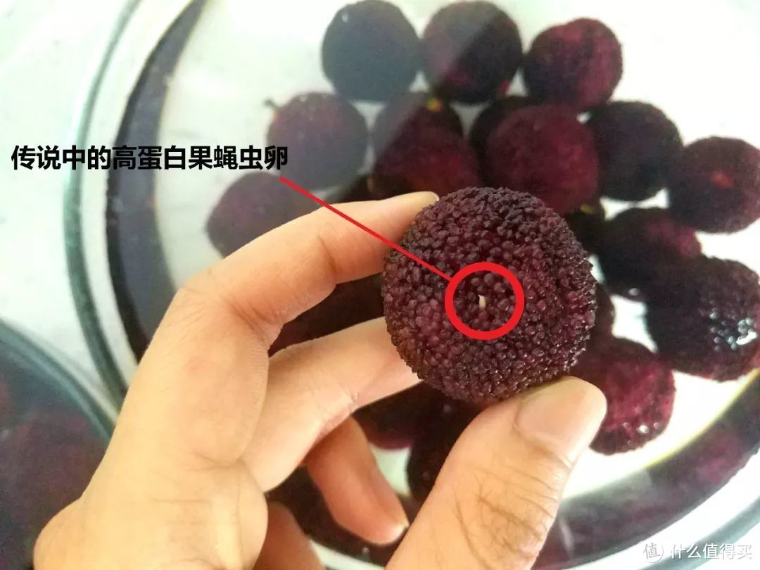 好吃就这几天的杨梅，究竟该怎么吃？