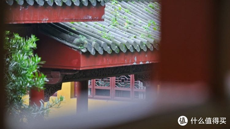 天青色等烟雨—编不出后半句的杭州+千岛湖游记