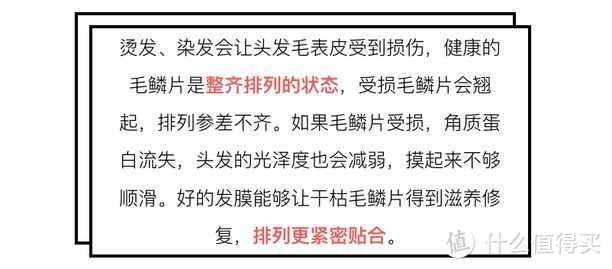 12款发膜测评，鸡窝头最后的急救“猛药”！