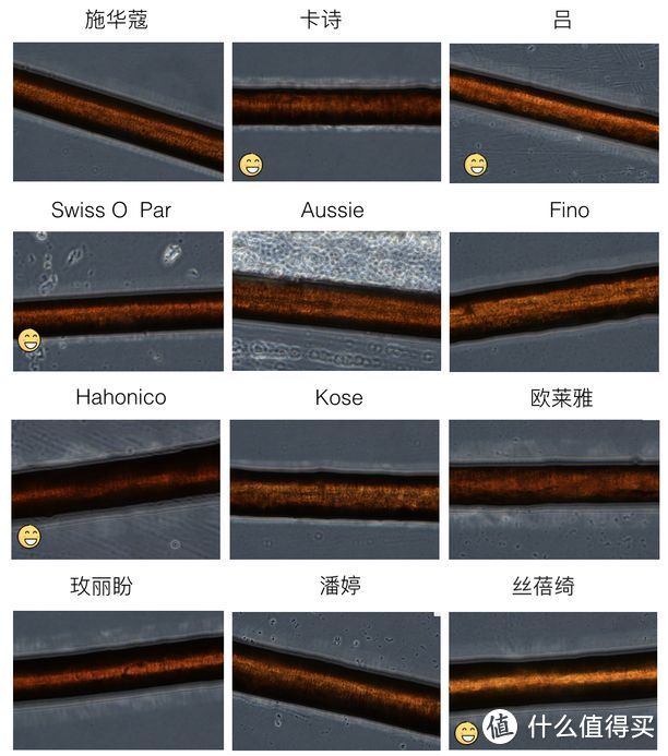 12款发膜测评，鸡窝头最后的急救“猛药”！