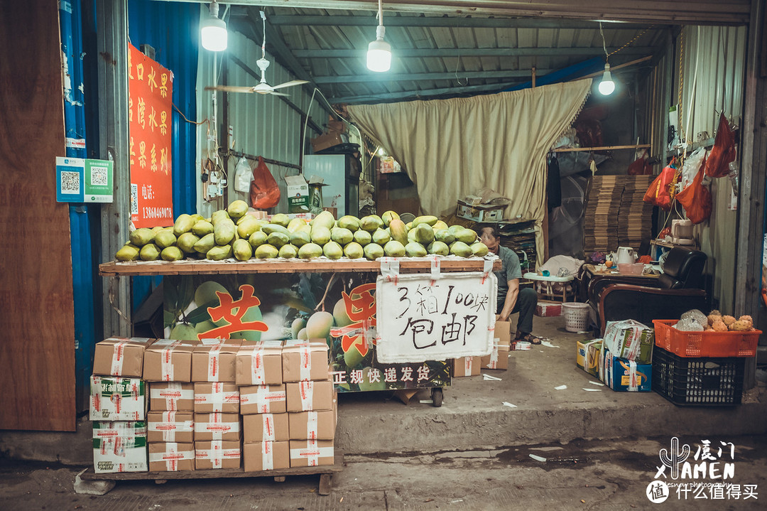 很多人来过厦门，却错过了仙人掌