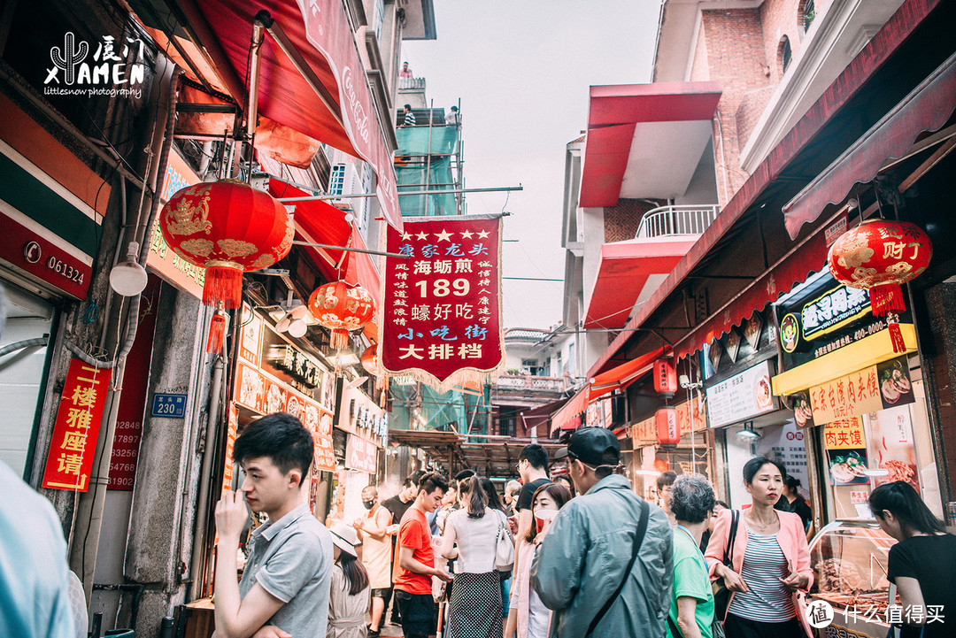 很多人来过厦门，却错过了仙人掌