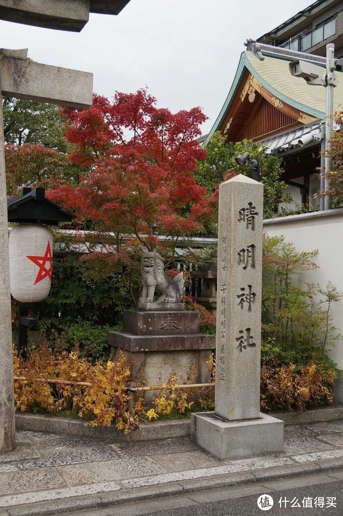 日本关西枫叶季旅游贴士