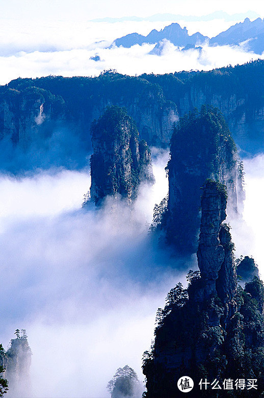 毕业季旅游季—张家界旅游防坑篇