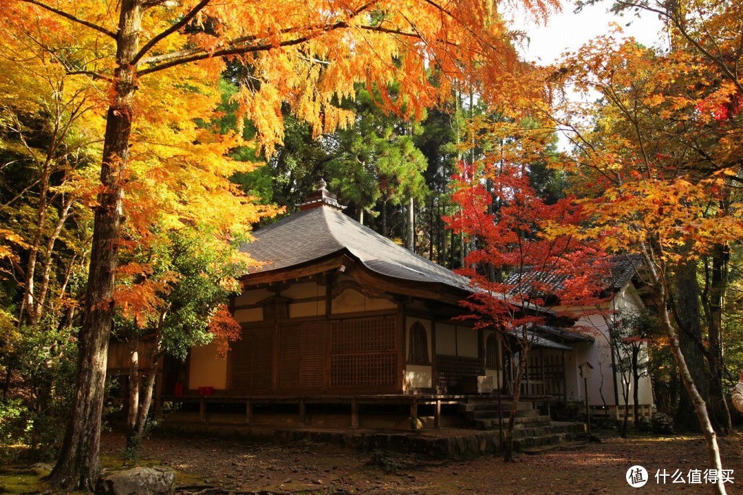 ▲ 高山寺