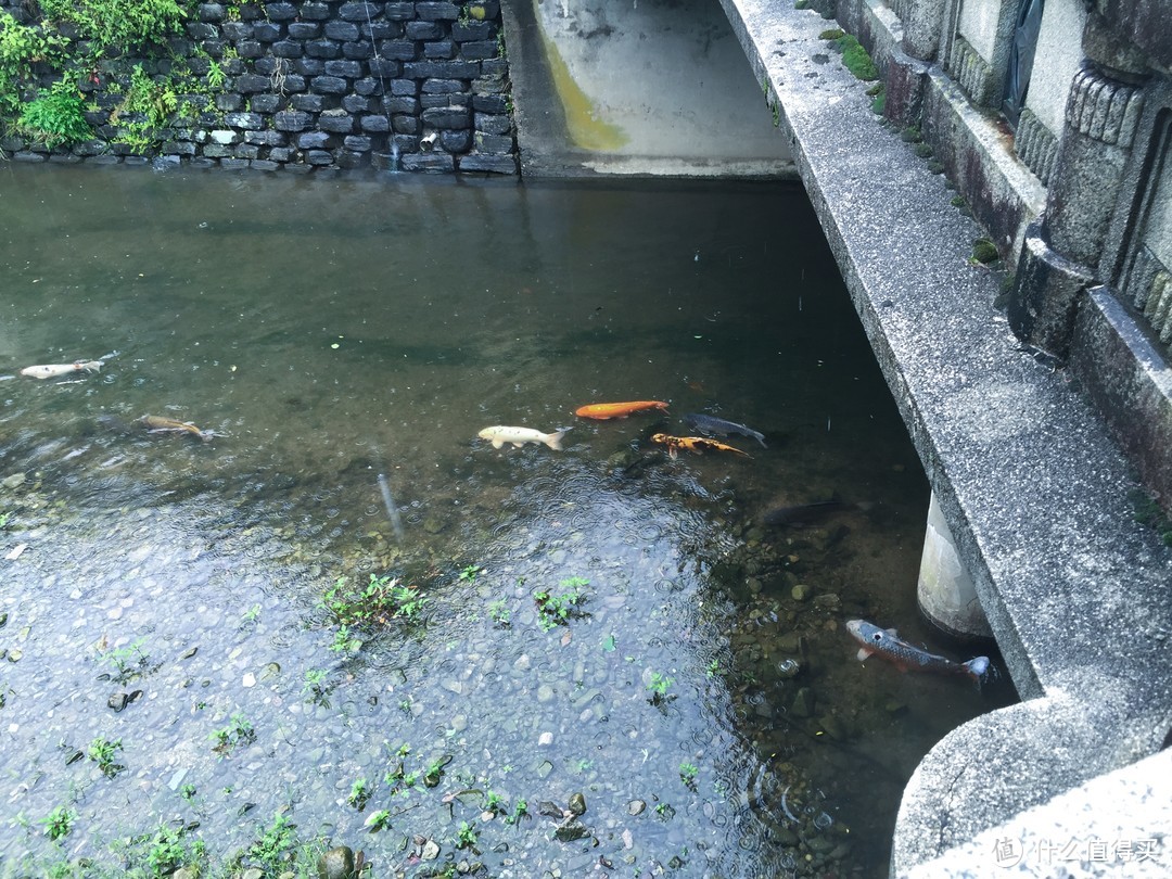 城崎温泉的一日游