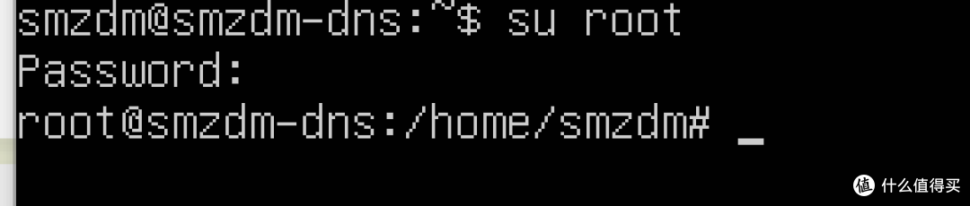 在家用环境中利用NAS建立DNS缓存服务器Pi-hole