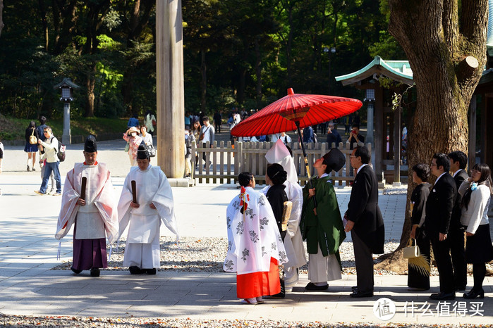 日本拈花惹草12天