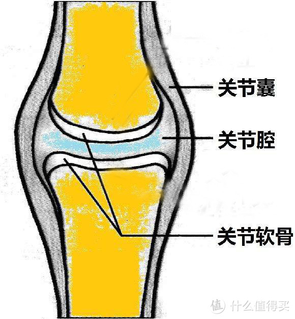 丰田小雷的嘉实多磁护启停保全合成润滑油SN 5W-30 （4L）众测报告