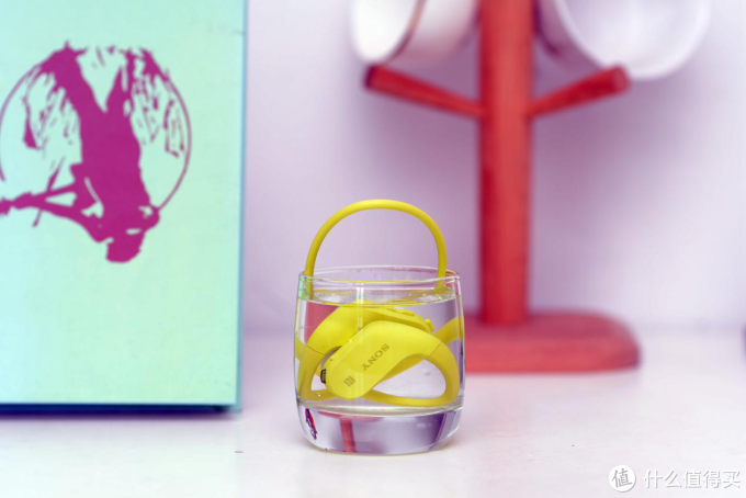 无“索”畏惧—SONY 索尼 NW-WS623 防水运动耳机入手评测