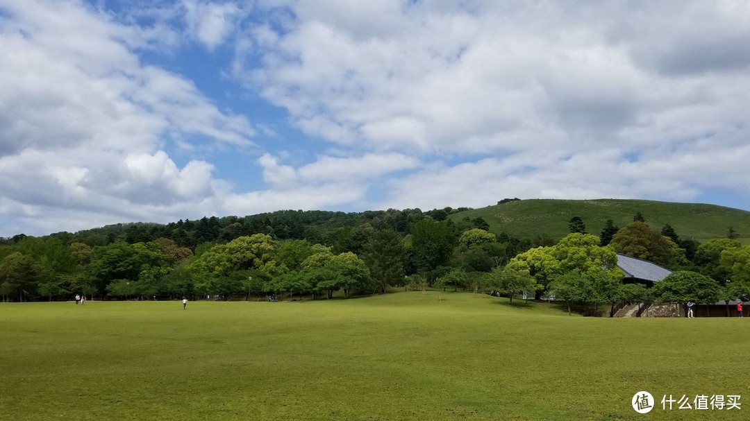 D9-D10 奈良的鹿与大阪环球影城