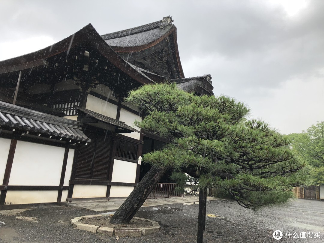 大雨瓢泼中的西本愿寺