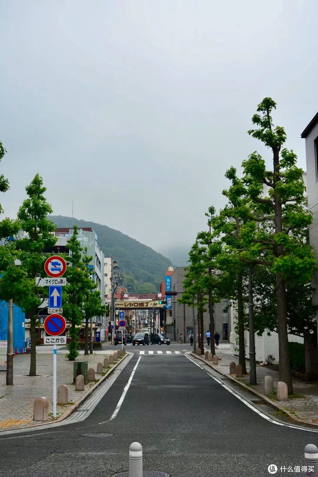 没有人告诉你的邮轮细节，年轻人适合邮轮旅行吗？