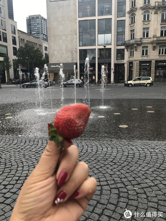 照片描述：买了一包草莓和一包车厘子，坐在歌德故居的广场上喂喂鸽子。这里的草莓正常大小，又红又亮好像假的一样，但特别有草莓味。
