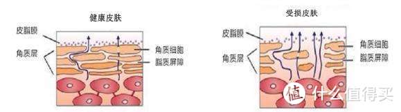 选对洗面奶对痘肌、敏感皮有多重要？看完这篇你就知道了