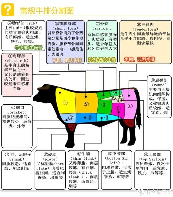 牛肉分布图及吃法图片