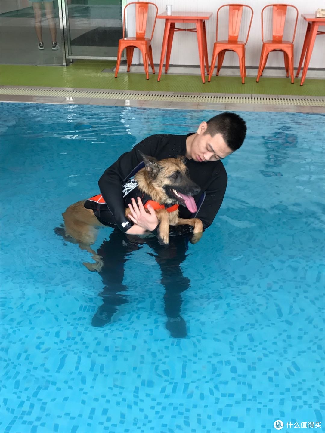 Joujou看到泳池总是怕怕的，教练小哥哥在水里抱着ta安抚中