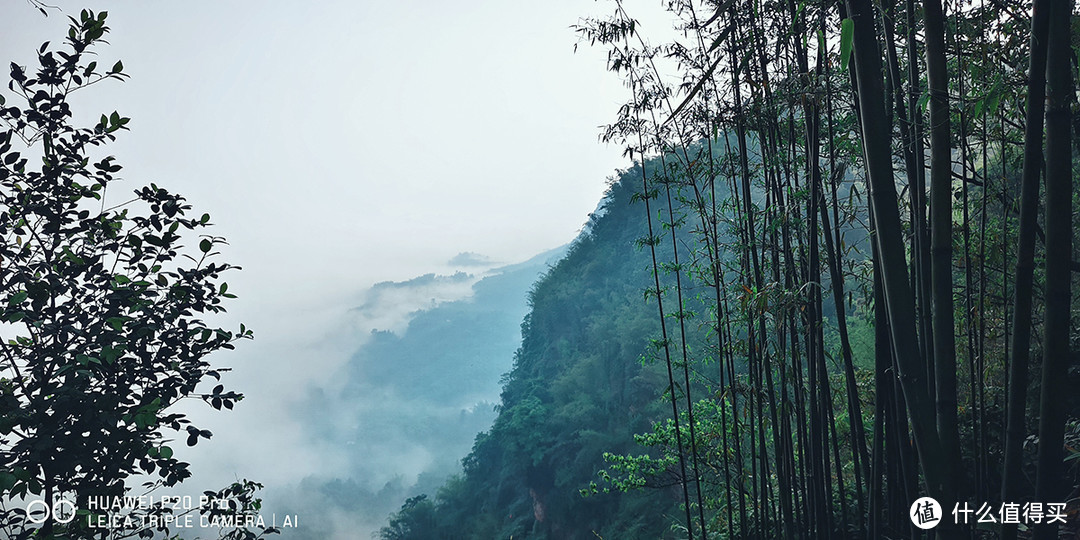 我曾经跨过山和竹海，遇见《卧虎藏龙》