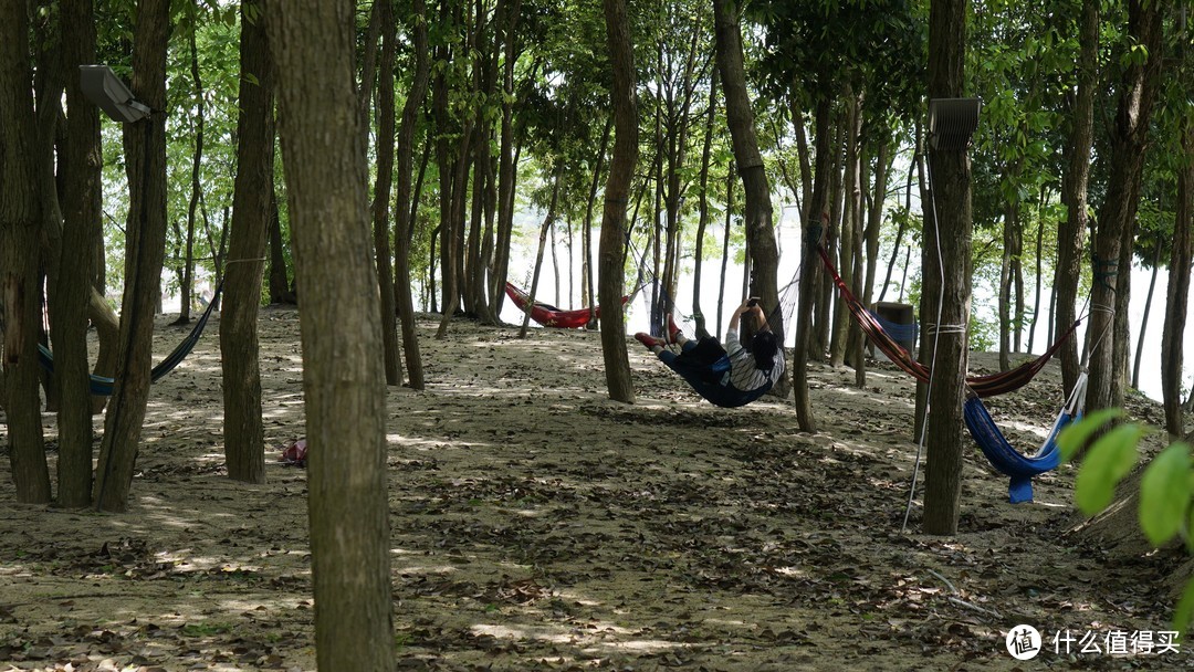  树林里有吊床供人休息，单纯度假放空的话挺好的