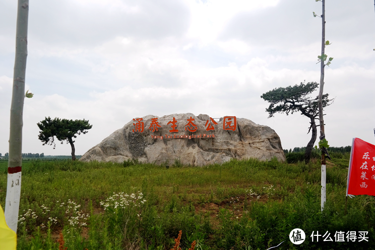 时光不老，我们不散——莱西时光音乐节的那些疯狂和感动，那些年我们听过的朴树