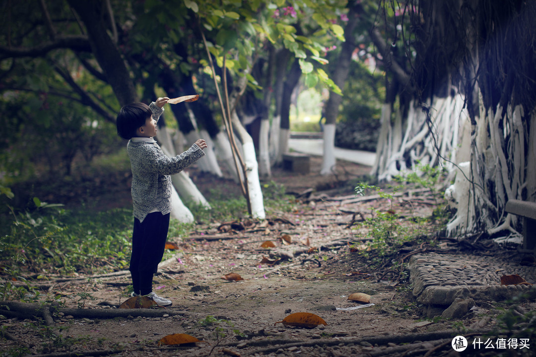 550D+适马50/1.4